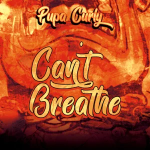 Buy Can't breathe